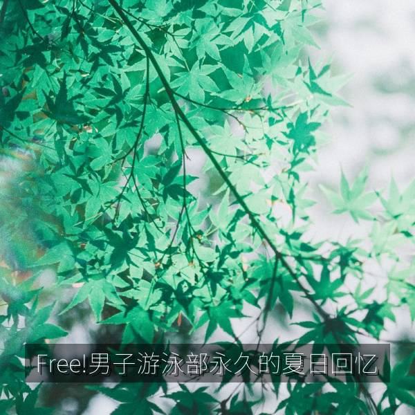Free!男子游泳部永久的夏日回忆 封面海报
