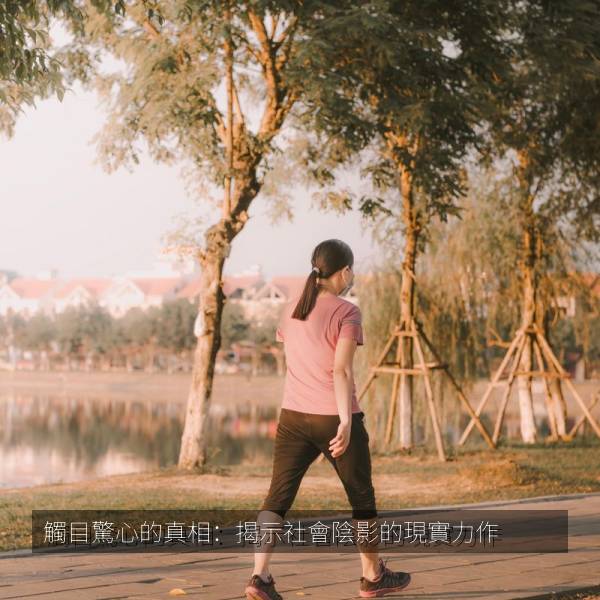 觸目驚心的真相：揭示社會陰影的現實力作 海报